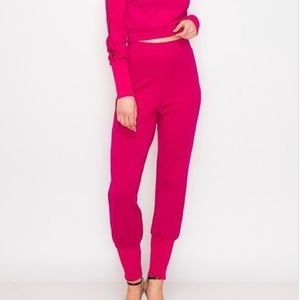 2 piece fushia jogger set